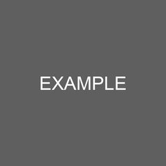 Example Product 8