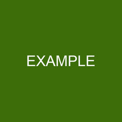 Example Product 8