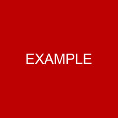 Example Product 8