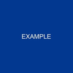 Example Product 8